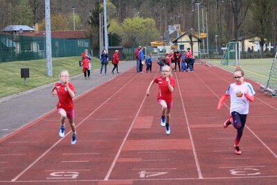Foto des Albums: Torgelow Mehrkampf