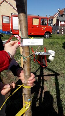 Foto des Albums: Fotos von der Baumpflanzaktion in Ragow am 23.4.22