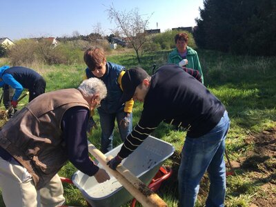 Foto des Albums: Fotos von der Baumpflanzaktion in Ragow am 23.4.22