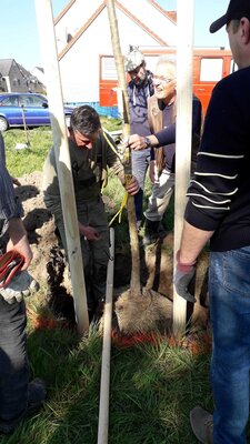 Foto des Albums: Fotos von der Baumpflanzaktion in Ragow am 23.4.22