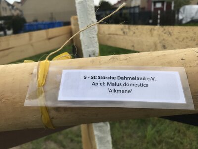 Foto des Albums: Fotos von der Baumpflanzaktion in Ragow am 23.4.22