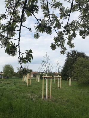 Foto des Albums: Fotos von der Baumpflanzaktion in Ragow am 23.4.22