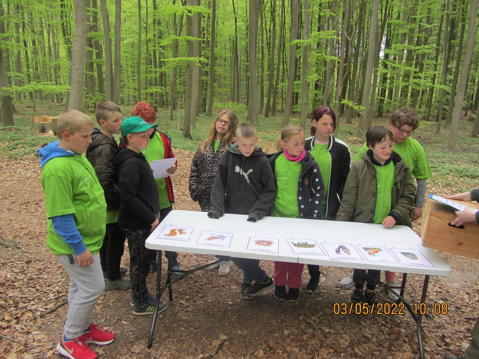Schule am Neuen Teich Lübz Waldolympiade 2022