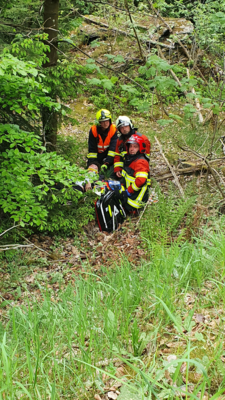 Foto des Albums: Einsatzübung Verkehrsunfall