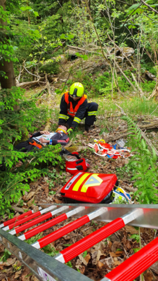 Foto des Albums: Einsatzübung Verkehrsunfall