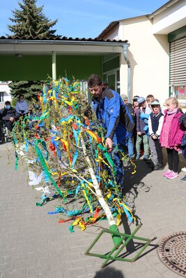 Foto des Albums: Maibaum 2022