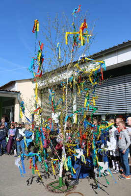 Foto des Albums: Maibaum 2022