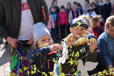 Foto des Albums: Maibaum 2022
