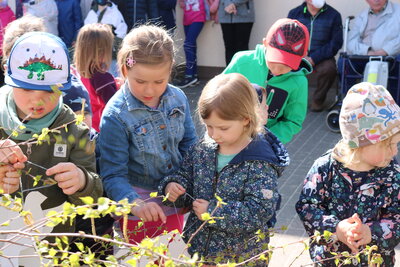 Foto des Albums: Maibaum 2022