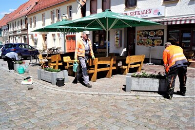 Fotoalbum Marktbepflanzung der Peenestadt Neukalen