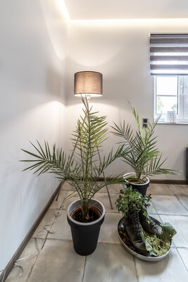 Foto des Albums: Wohnzimmer