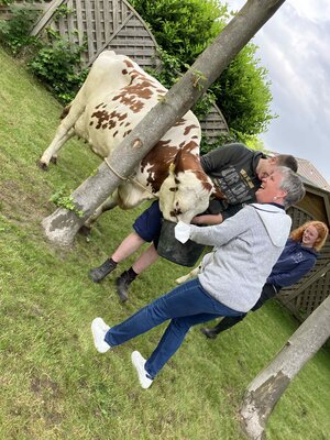 Foto des Albums: Besuch von Kuh Olga und Kälbchen Helmut