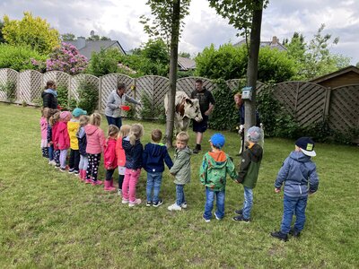 Foto des Albums: Besuch von Kuh Olga und Kälbchen Helmut
