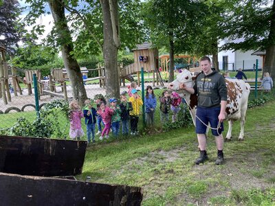 Foto des Albums: Besuch von Kuh Olga und Kälbchen Helmut