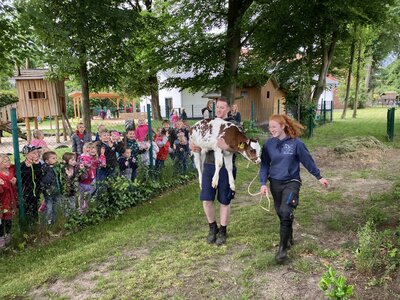 Foto des Albums: Besuch von Kuh Olga und Kälbchen Helmut