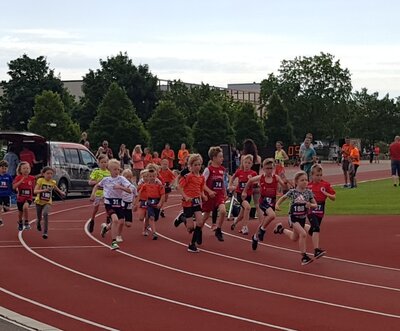 Foto des Albums: Schwedter Sportplatzlauf, 11.06.2022
