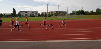 Foto des Albums: Schwedter Sportplatzlauf, 11.06.2022