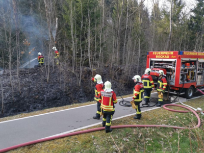 Foto des Albums: Brand 2 - Böschungsbrand neben Radweg