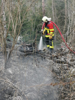 Foto des Albums: Brand 2 - Böschungsbrand neben Radweg