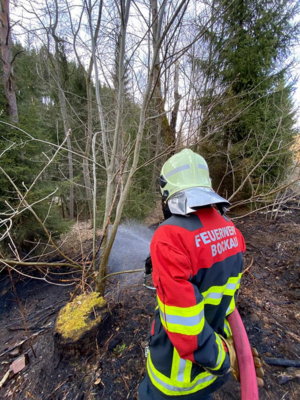 Foto des Albums: Brand 2 - Böschungsbrand neben Radweg