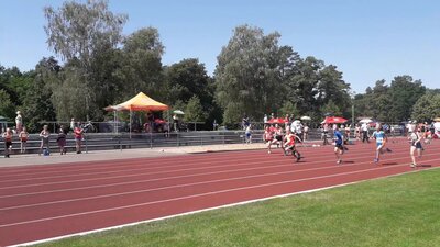 Foto des Albums: LM U12/U14 Strausberg