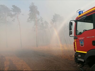 Foto des Albums: Waldbrand Mühlberg