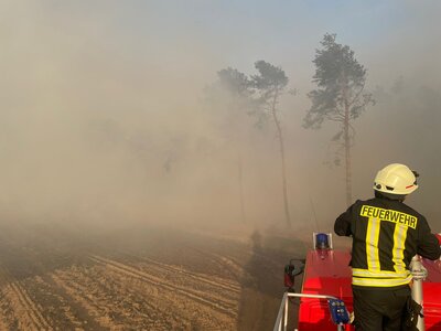 Foto des Albums: Waldbrand Mühlberg