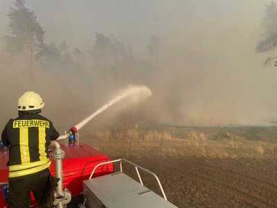 Foto des Albums: Waldbrand Mühlberg
