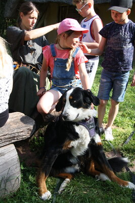 Foto des Albums: Klassenfahrt nach Fürstenberg, Klassen 3 & 4 (26.06.2022)