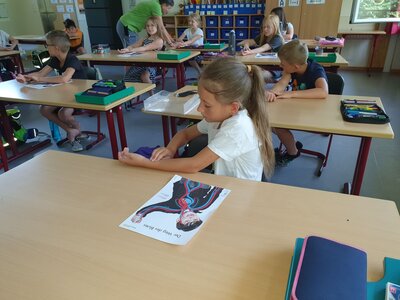 Foto des Albums: Klasse 2000 - Der Weg des Blutes