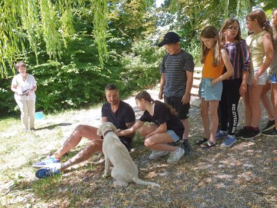 Foto des Albums: Vom richtigen Umgang mit Hunden