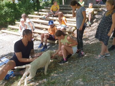 Foto des Albums: Vom richtigen Umgang mit Hunden