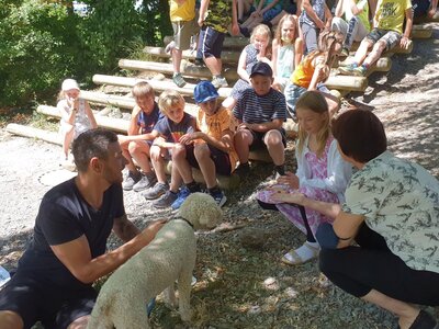 Foto des Albums: Vom richtigen Umgang mit Hunden