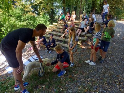 Foto des Albums: Vom richtigen Umgang mit Hunden