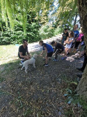Foto des Albums: Vom richtigen Umgang mit Hunden