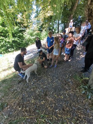 Foto des Albums: Vom richtigen Umgang mit Hunden