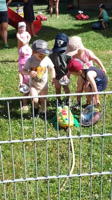 Foto des Albums: Wir planschen im Garten
