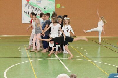 Foto des Albums: Musa