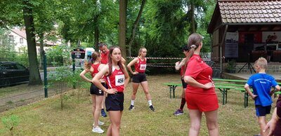 Foto des Albums: Angermünder Wiesellauf