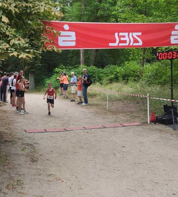 Foto des Albums: Angermünder Wiesellauf