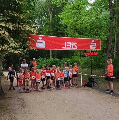 Foto des Albums: Angermünder Wiesellauf