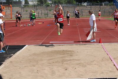 Foto des Albums: Landessportspiele Brandenburg