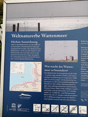 Foto des Albums: Wanderwoche Dagebüll im Weltnaturerbe Wattenmeer (02.07.2022)