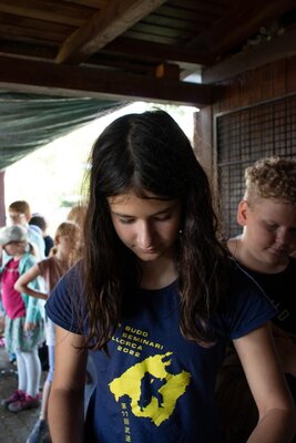 Foto des Albums: Dojocamp des JVU 2022