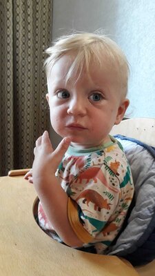 Foto des Albums: Gemeinsames Frühstück
