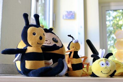 Foto des Albums: Einschulung der neuen ErstklässlerInnen