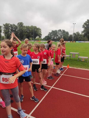 Foto des Albums: Angermünder Sommerlauf