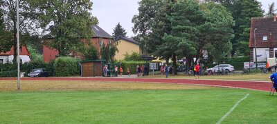 Foto des Albums: Angermünder Sommerlauf