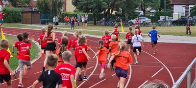Foto des Albums: Angermünder Sommerlauf