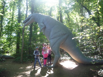 Foto des Albums: Klasse 4c im Dinopark